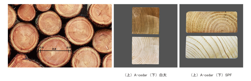 OK-DEPOT material A-Cedar 秋田杉 デッキ材 2×4 T38×W89×L4000 植物 